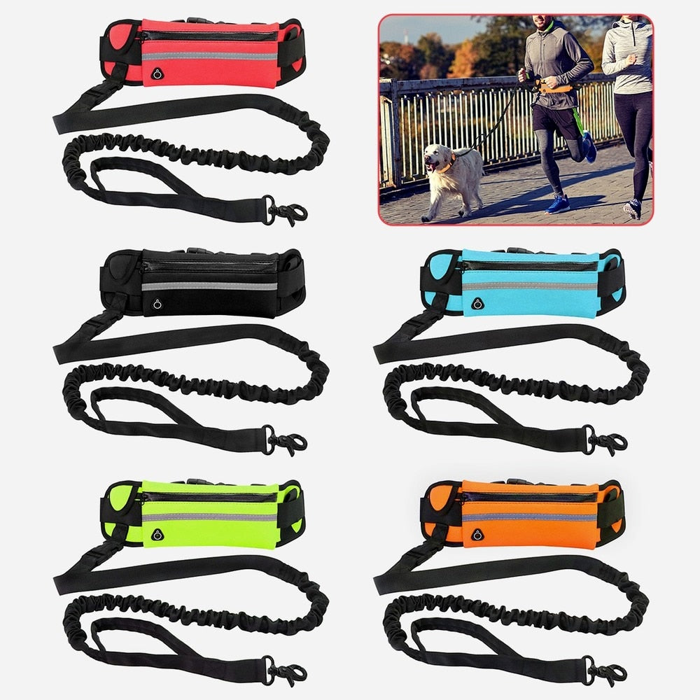 Hands Free Dog Leash. Reflective Waist Bag Elastic Belt for Running, Walking.