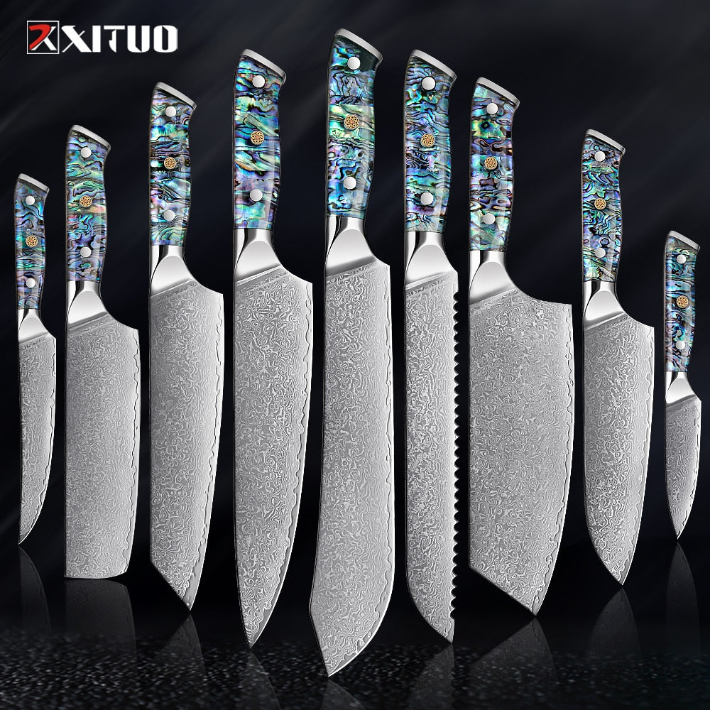 67 Layer Damascus Steel Kitchen Knives Set, Abalone Handle, Sharp