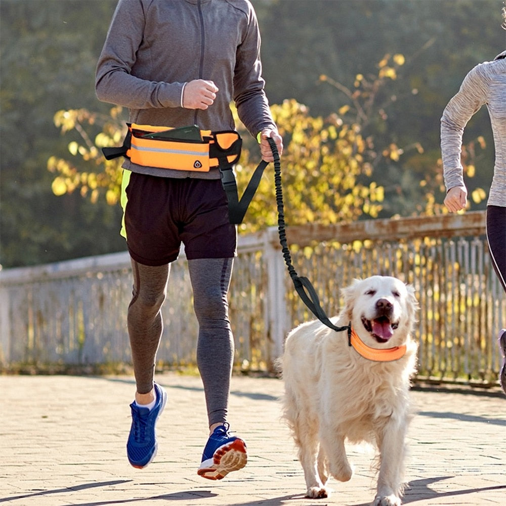Hands Free Dog Leash. Reflective Waist Bag Elastic Belt for Running, Walking.